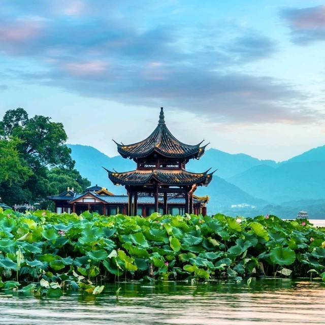 再别康桥原文读后感