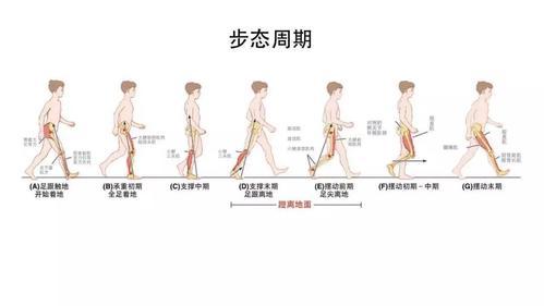 怎么样正确走路姿势