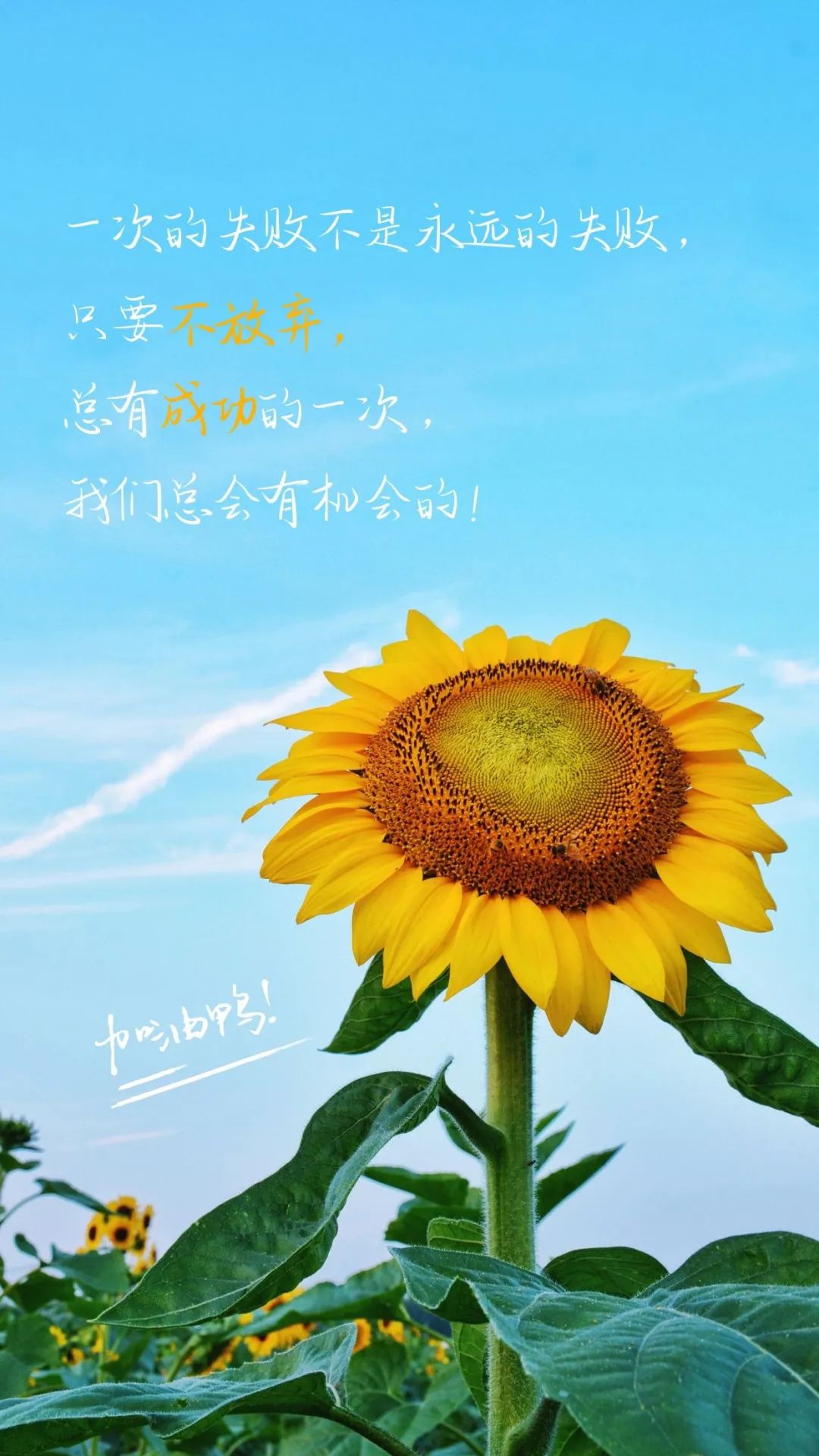 激励人奋斗努力的话简短