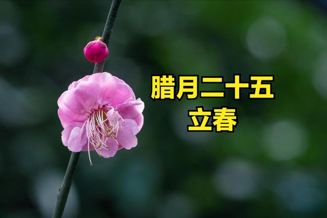 打春是几月几号几点2021年