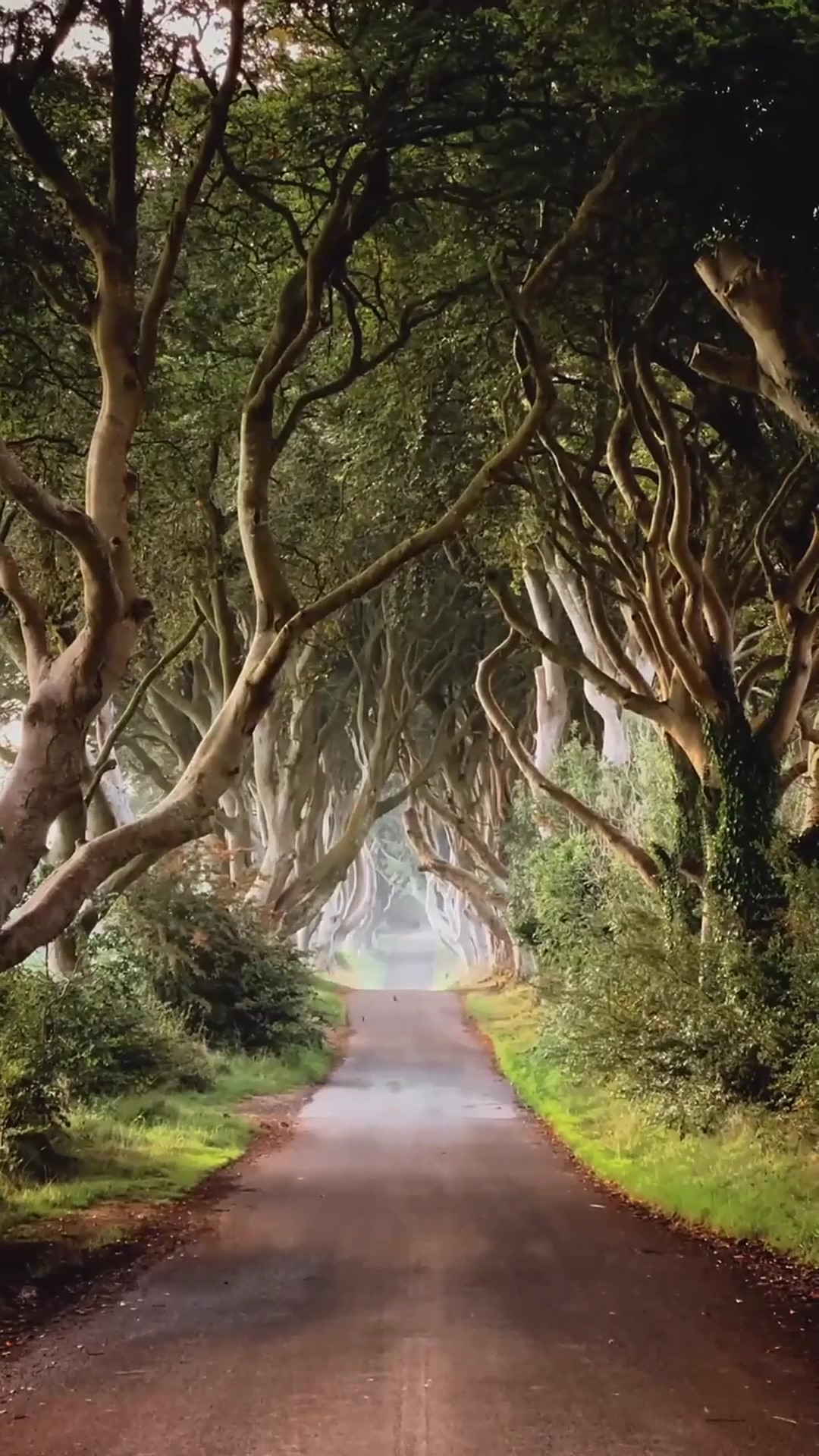 北爱尔兰和爱尔兰什么关系