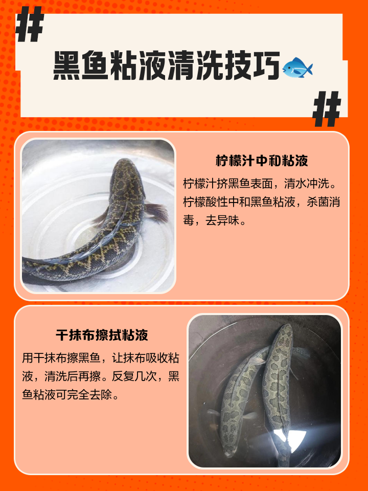 乌贼怎么清洗存放时间长