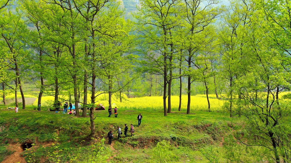 2025年11月 第5页