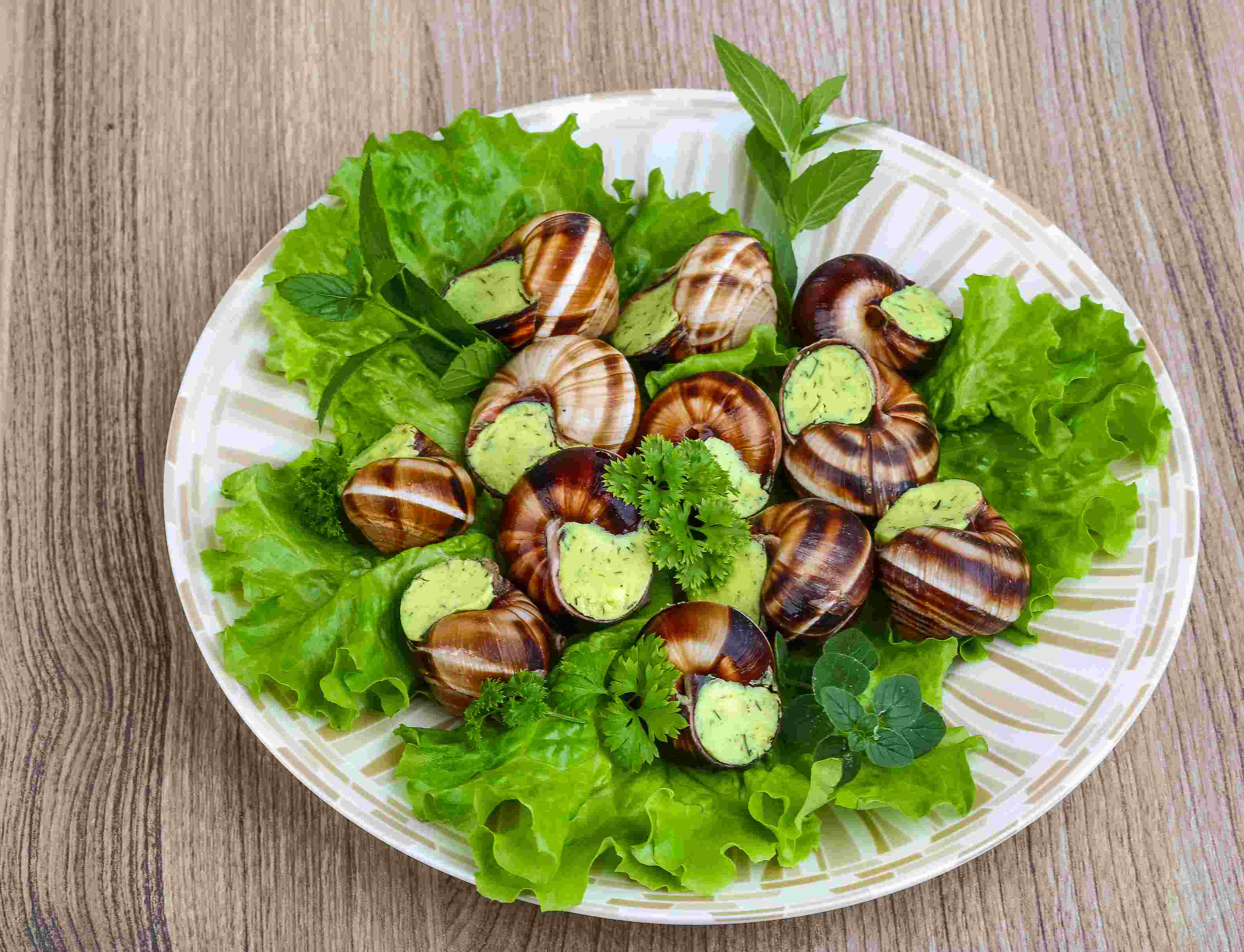 蜗牛喜欢吃什么食物简笔画