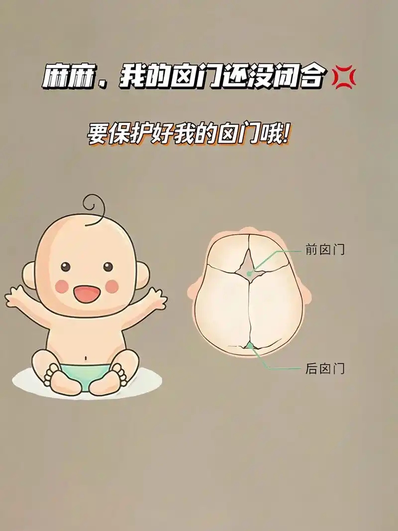 囟门是什么位置示意图