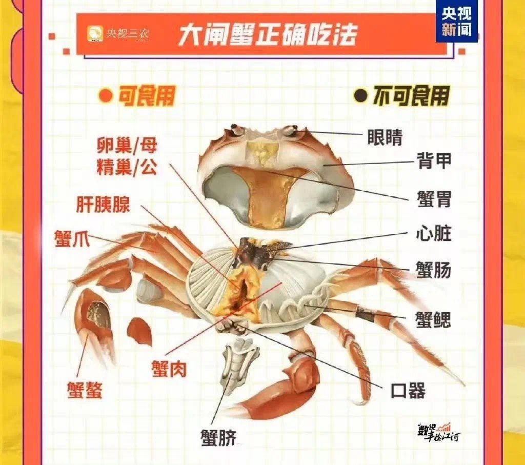 吃螃蟹可以和可乐一起吃