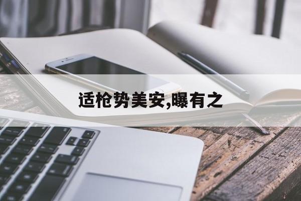 适枪势美安,曝有之