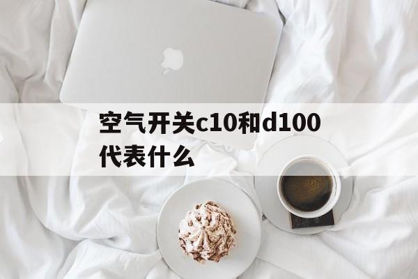 空气开关c10和d100代表什么