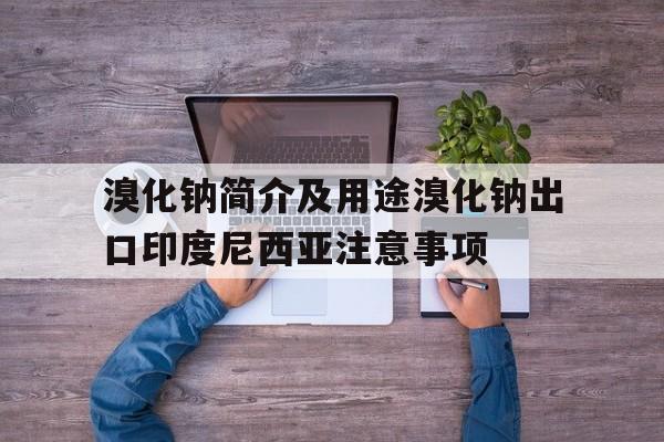 溴化钠简介及用途溴化钠出口印度尼西亚注意事项