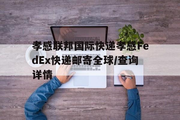 孝感联邦国际快递孝感FedEx快递邮寄全球/查询详情