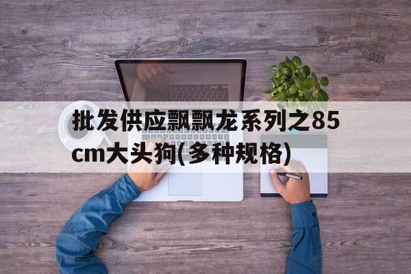 批发供应飘飘龙系列之85cm大头狗(多种规格)