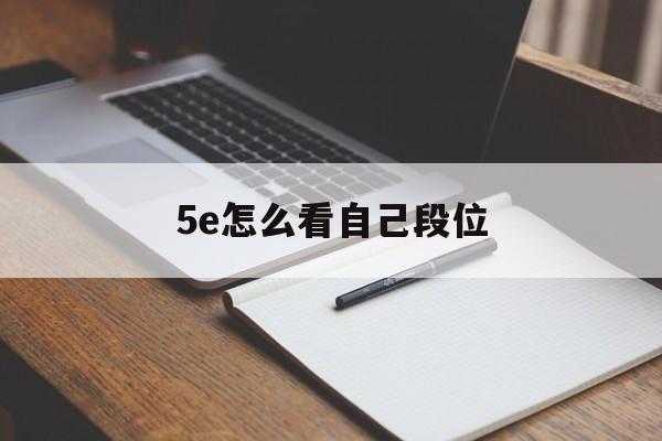 5e怎么看自己玩了多久
