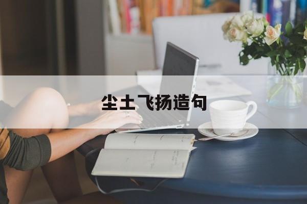 尘土飞扬造句子