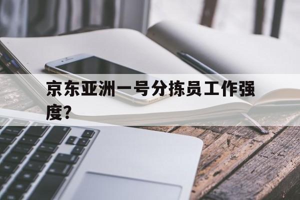 京东库房分拣员工作视频