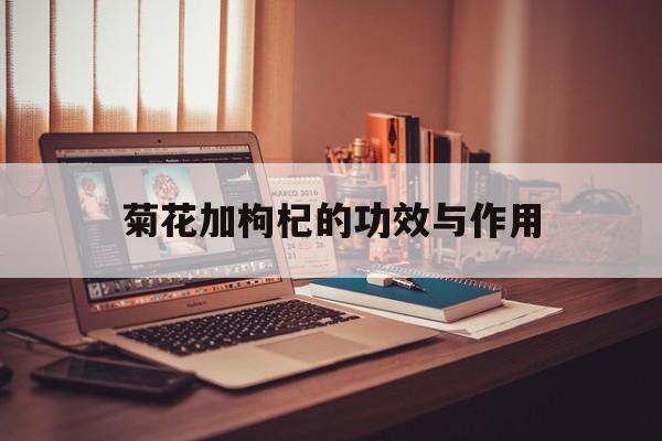 玫瑰花加菊花加枸杞的功效与作用