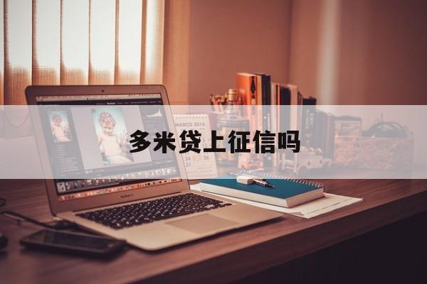 多米贷借款