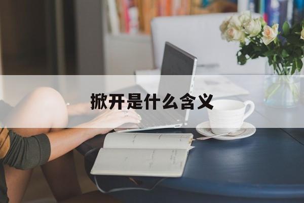 掀开的意思解释