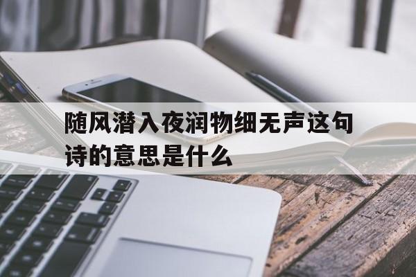 随风潜入夜润物细无声本意是什么