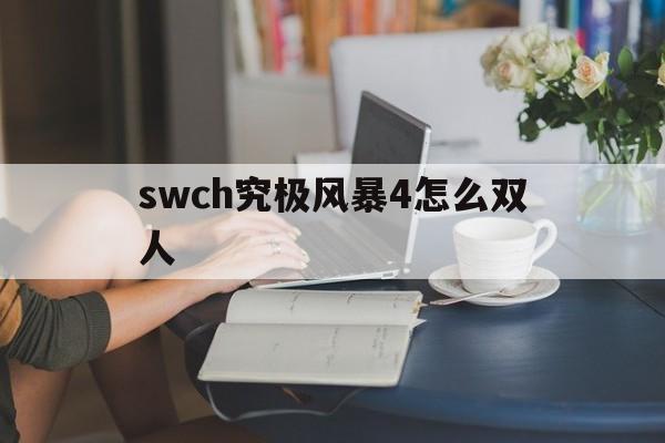 究极风暴4能不能双人在一台电脑玩