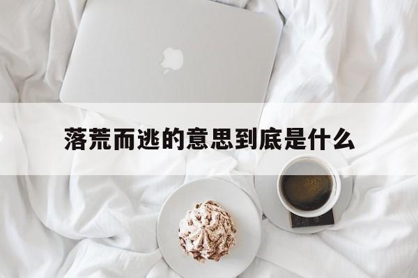 落荒而逃 的意思解释