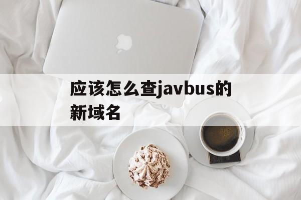 busdmm后缀改什么了