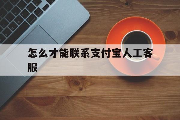 怎么可以联系支付宝人工客服